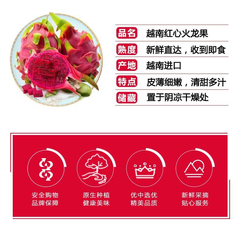 【果荟】越南红心火龙果3个装 单果约350-400g 进口热带新鲜水果