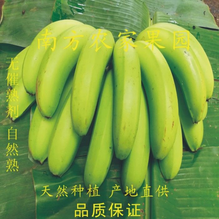 广西新鲜农家香蕉 新鲜水果 现采鲜蕉 新鲜包邮