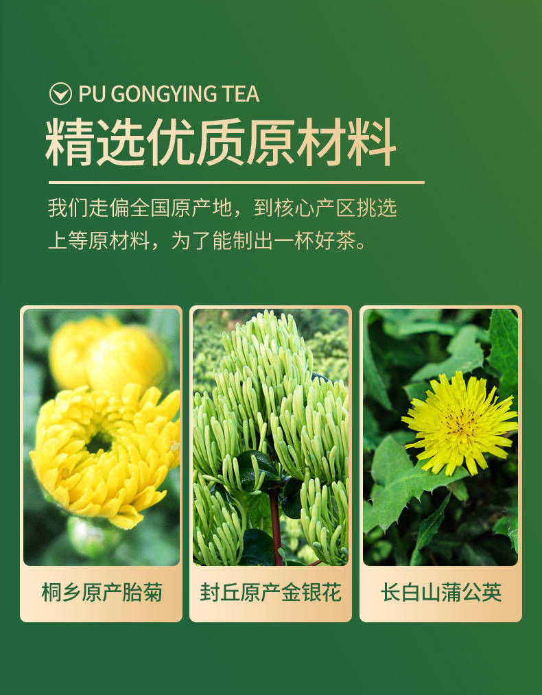 【现货速发 三倍下火】金银花茶胎菊花蒲公英茶叶花草茶