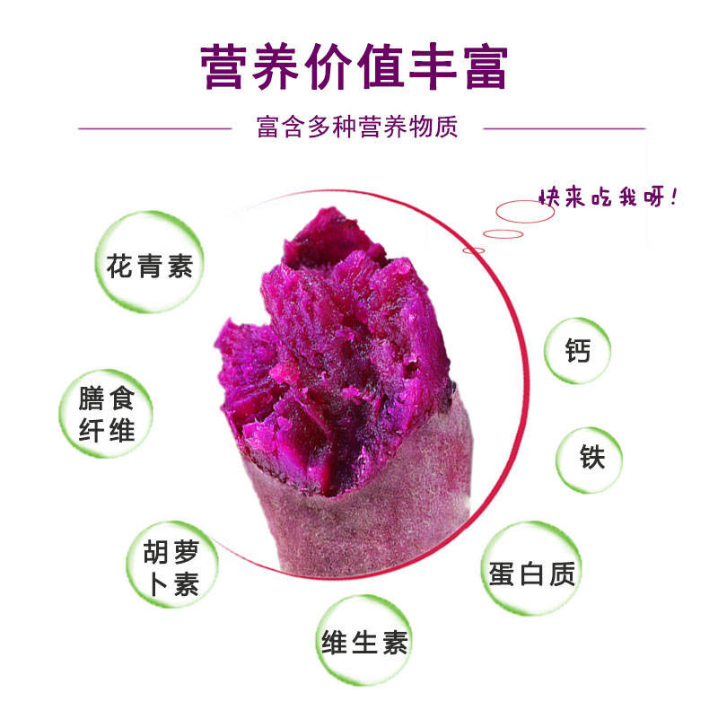 【现挖现发】新鲜紫薯番薯地瓜黑薯紫红薯紫罗兰甘薯山芋2/5/10斤