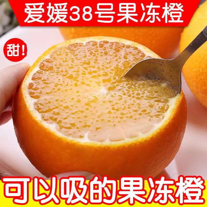 四川丑橘不知火丑八怪橘子新鲜水果当季桔子柑橘丑柑孕妇水果批发