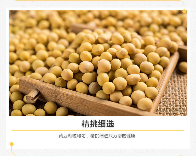 【急速发货】东北笨土黄豆2.5斤散装农家非转基因大豆子豆浆生豆芽小粒批发