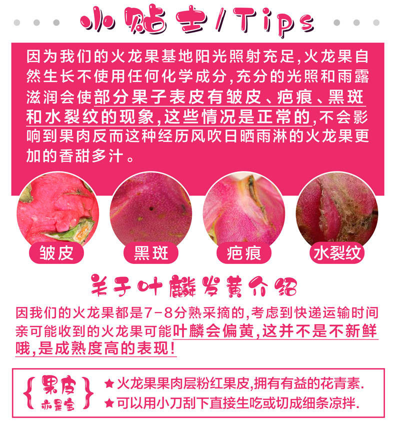 【48小时内发货】红心火龙果新鲜水果当季红肉红龙果白心