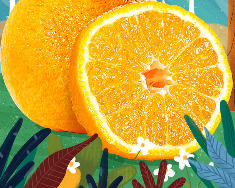 【新鲜现发】不知火丑橘橘子黄皮橘子柑橘丑桔桔子新鲜水果皮薄橘子蜜桔批发