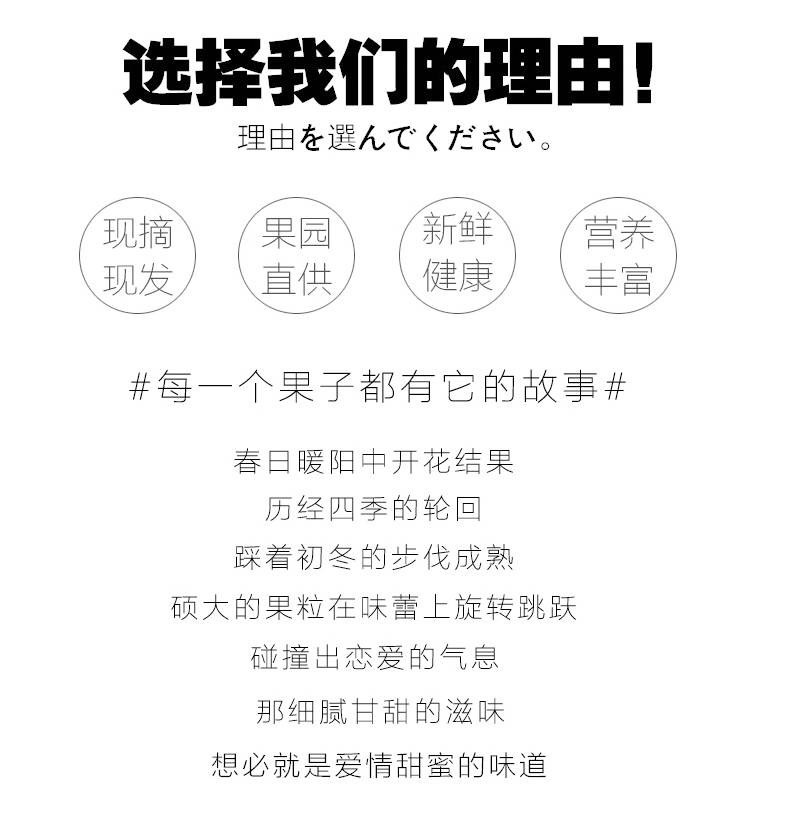 【新鲜现发】不知火丑橘橘子黄皮橘子柑橘丑桔桔子新鲜水果皮薄橘子蜜桔批发