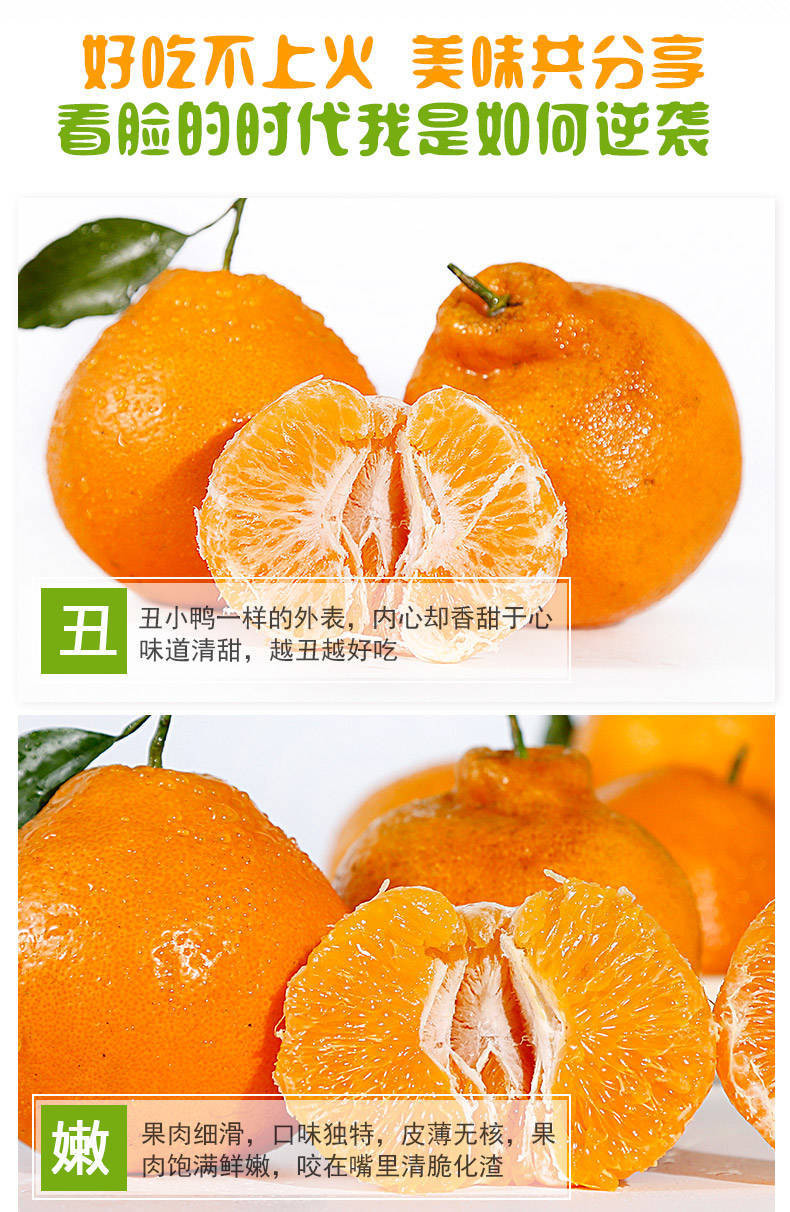 【新鲜现发】不知火丑橘橘子黄皮橘子柑橘丑桔桔子新鲜水果皮薄橘子蜜桔批发