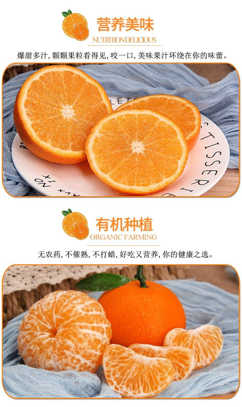 【坏果包赔】沃柑正宗贵妃柑新鲜水果橘子2斤/5斤/10斤