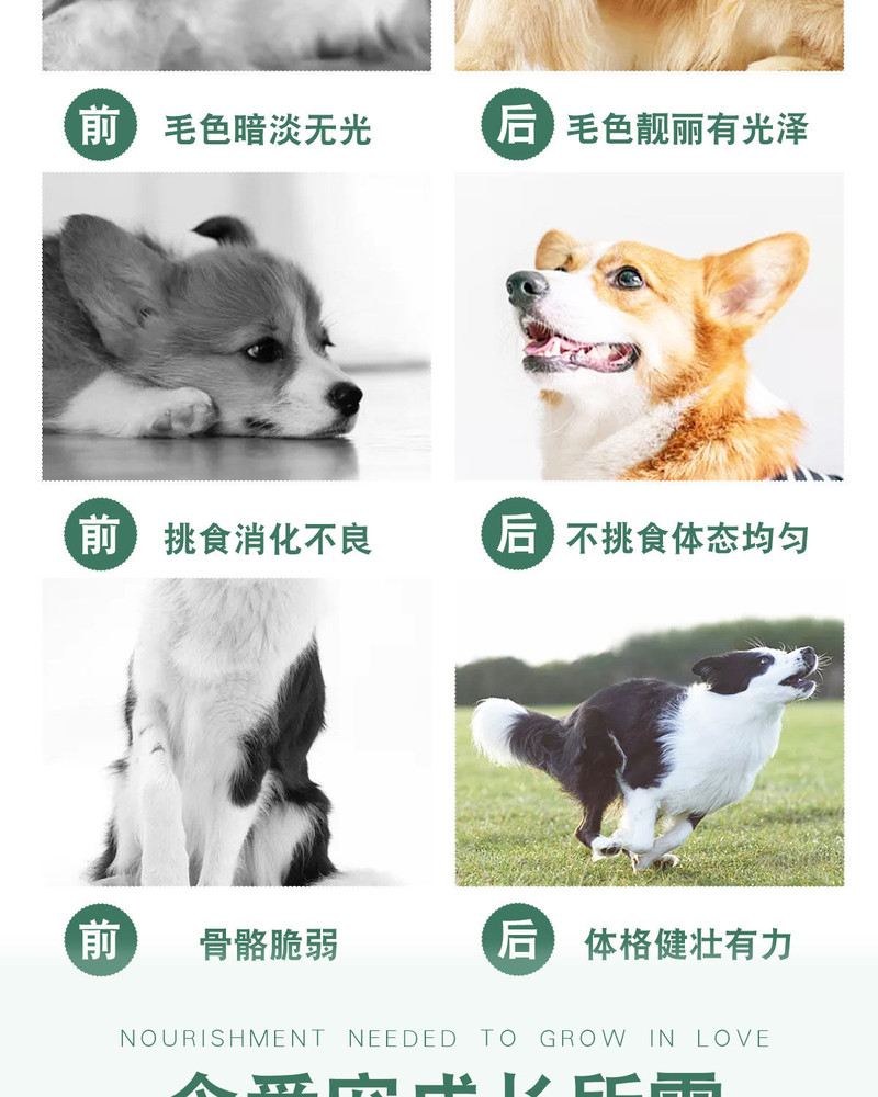 【48小时内发货】狗粮通用型泰迪金毛拉布拉多幼犬成犬大中小型犬牛肉双拼犬主粮