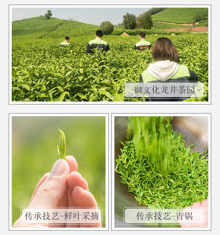 【48小时内发货】西湖龘杭州龙井茶明前新茶春茶雨前龙井绿茶茶叶散装罐装