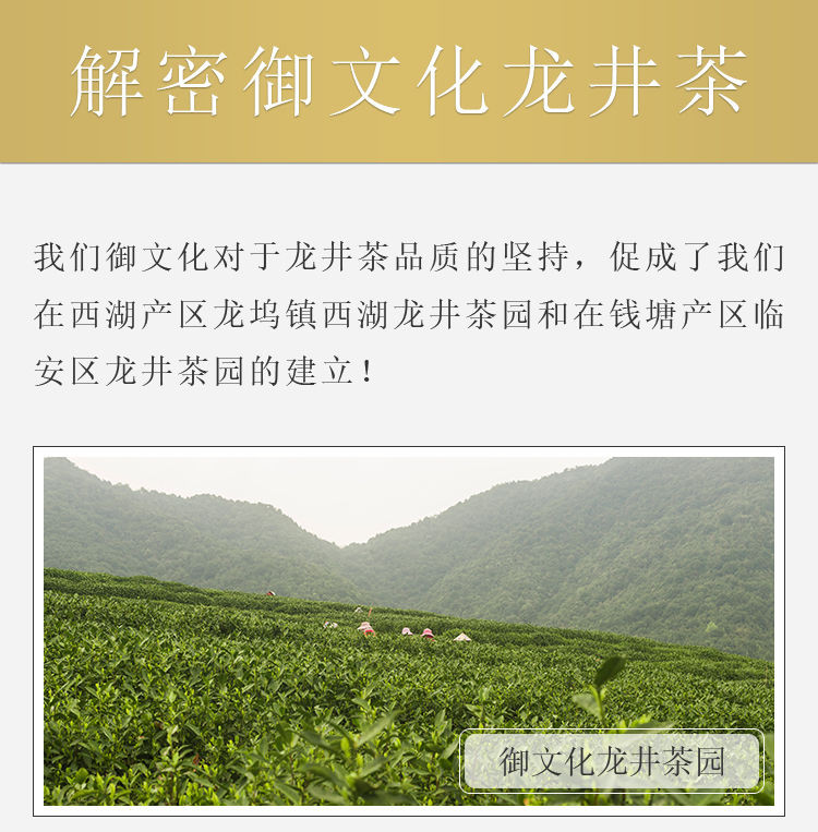 【48小时内发货】西湖龘杭州龙井茶明前新茶春茶雨前龙井绿茶茶叶散装罐装