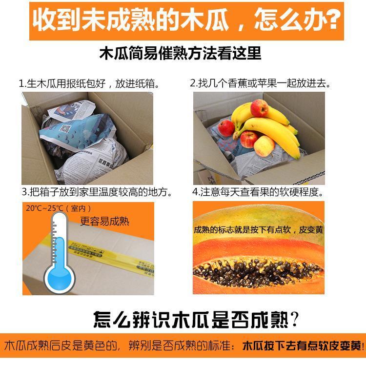 【10斤精选】红心木瓜新鲜热带水果糖心木瓜树上熟坏果包赔5-10斤装