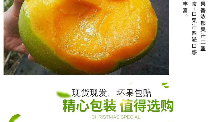 【48小时内发货】攀枝花凯特大芒果水果新鲜孕妇当季10斤整箱大青芒金煌5斤