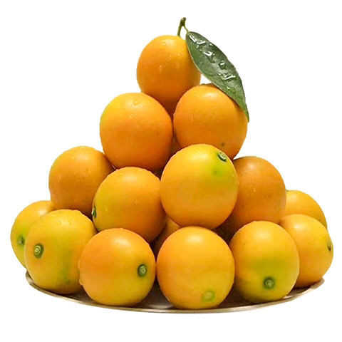 【纯甜】脆皮金桔广西小金桔新鲜水果当季砂糖橘子柑桔滑皮整箱