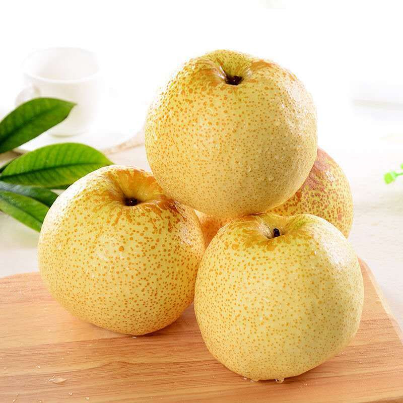 【10斤梨子】梨子5-10斤新鲜水果白酥梨5斤百年梨树非皇冠梨青梨包邮