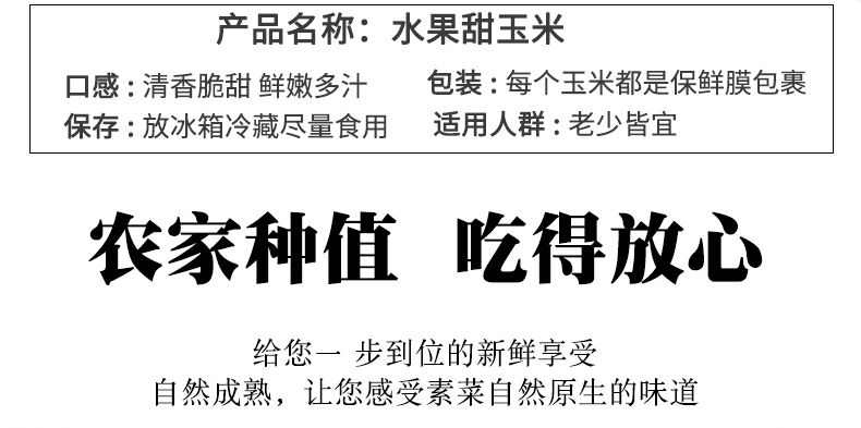 广西水果玉米新鲜现摘应季甜玉米棒早餐生吃非云南花糯玉米笨牛奶