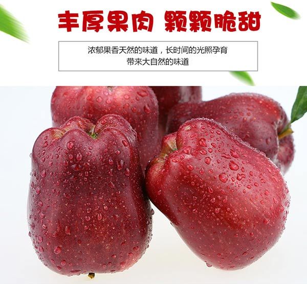 现货花牛苹果新鲜应季甘肃蛇果粉面甜宝宝辅食刮泥水果5斤