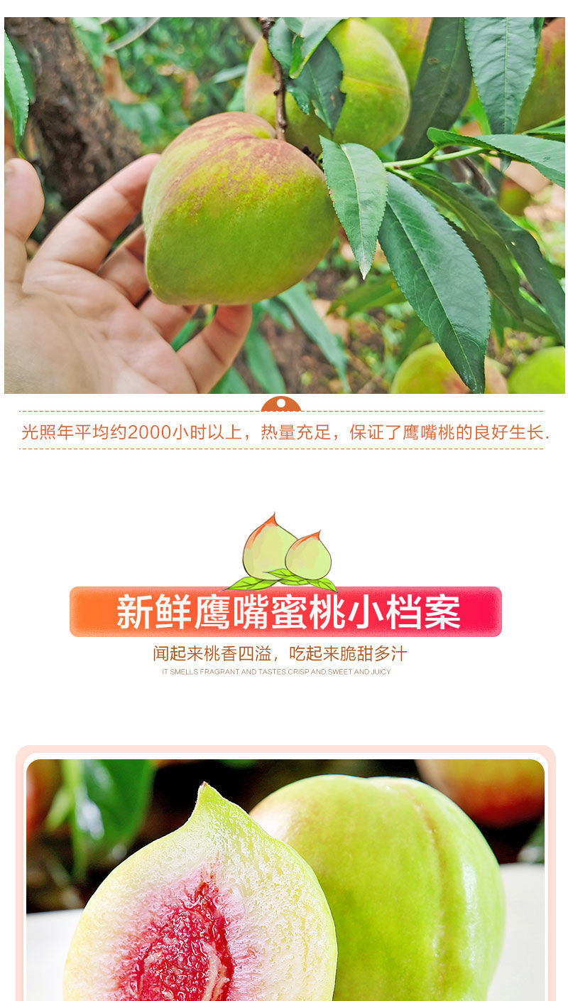 鹰嘴桃水果新鲜应季批发5/10斤整箱脆桃子水密桃血桃