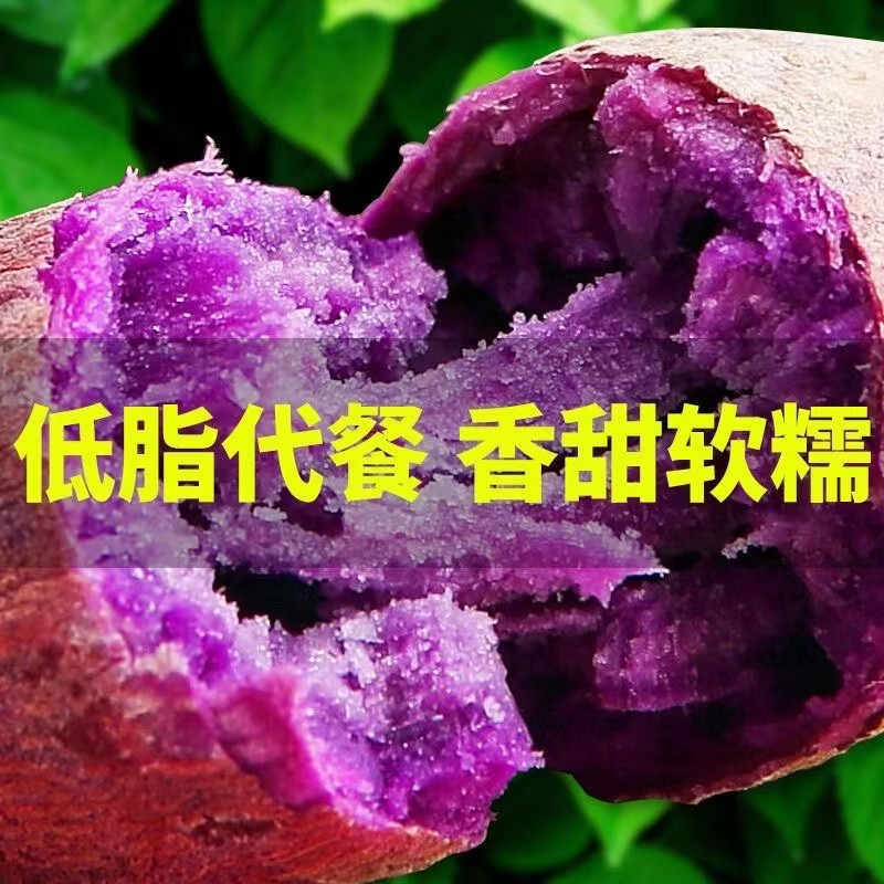 妙采园 【香甜粉糯】沙地紫薯批发板栗番薯地瓜红薯新鲜蜜薯蔬菜2/5/9斤