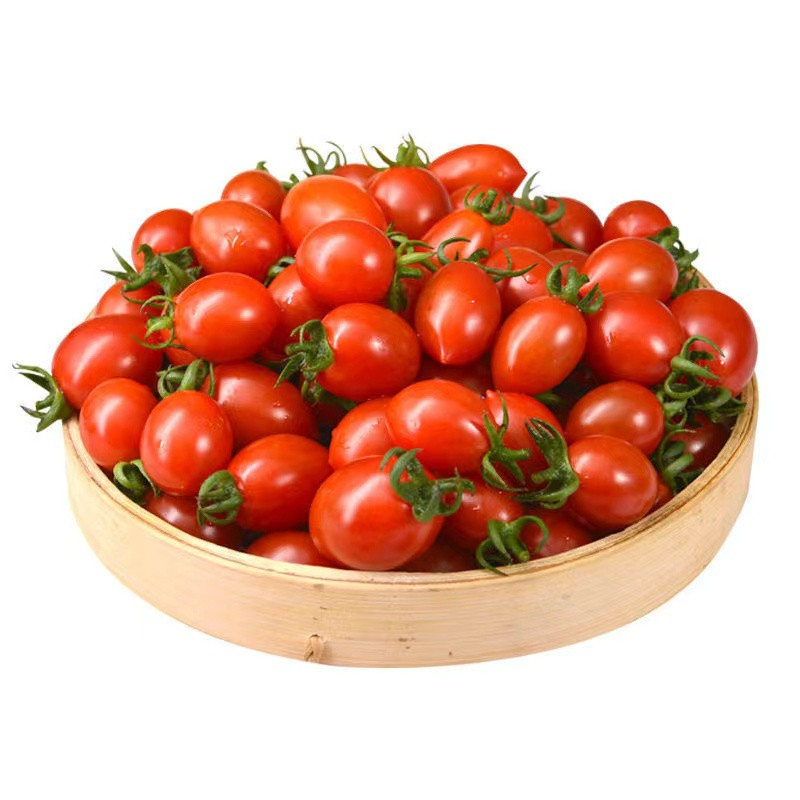 妙采园 圣女果现摘新鲜小番茄生吃小西红柿应季水果批发