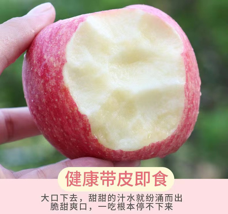 妙采园 红富士苹果水果新鲜批发冰糖心当季整箱