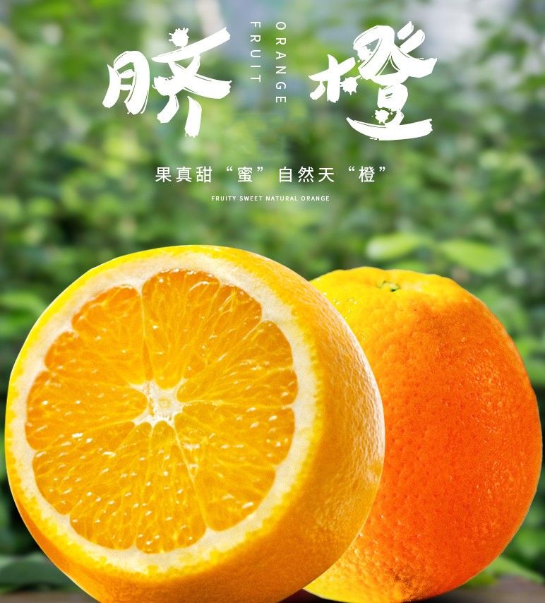 【限时特惠】夏橙当季新鲜夏橙橙子新鲜橙子秭归脐橙水果当季现摘橙子