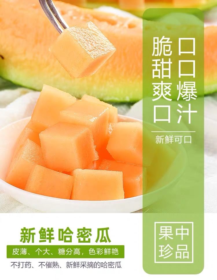 哈密瓜西州蜜25号甜瓜网纹瓜香瓜新鲜水果当季整箱2.5-10斤多规格