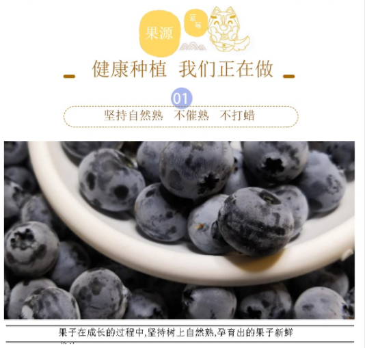 【限时抢购】现货新鲜蓝莓鲜果孕妇宝宝蓝莓水果蓝梅盒包邮