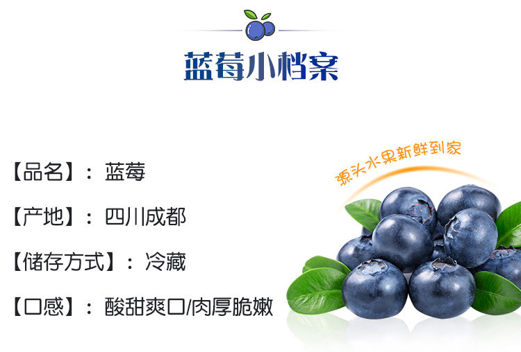 新鲜应季蓝莓鲜果6/4/2盒装当季孕妇水果高山小蓝梅整箱批发包邮