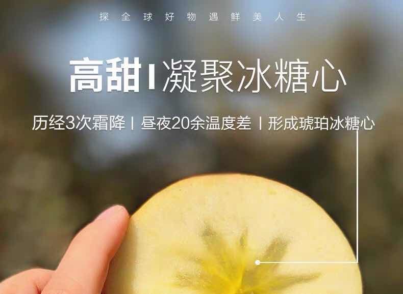 【顺丰包邮】正宗新疆阿克苏冰糖心苹果水果新鲜红富士大10/5斤