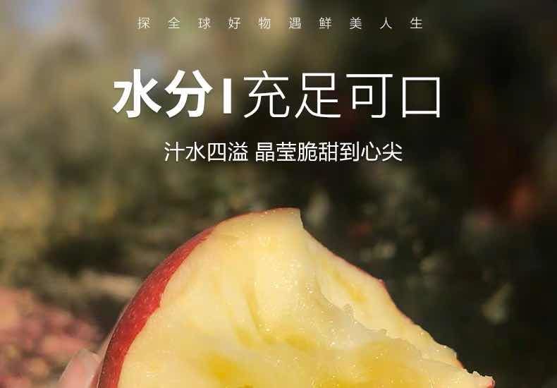 【顺丰包邮】正宗新疆阿克苏冰糖心苹果水果新鲜红富士大10/5斤