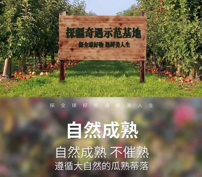 【顺丰包邮】正宗新疆阿克苏冰糖心苹果水果新鲜红富士大10/5斤