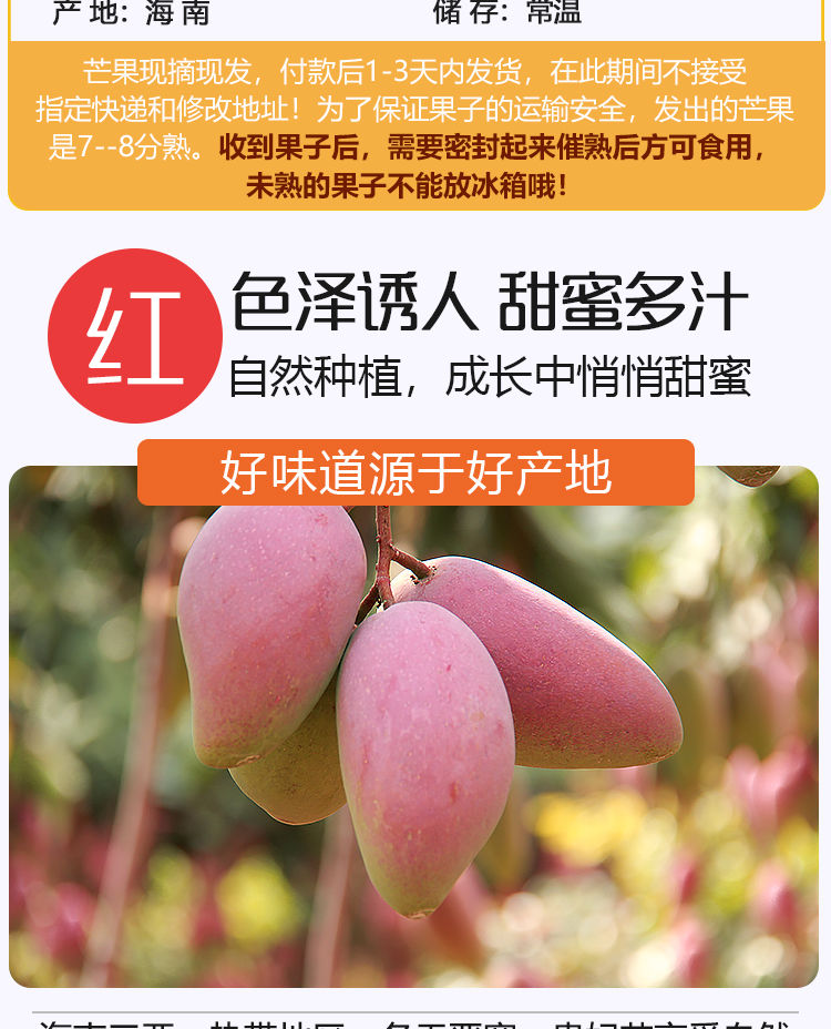 海南贵妃芒【5斤】应季新鲜水果红金龙芒果果园现摘热带忙果整箱批发包邮