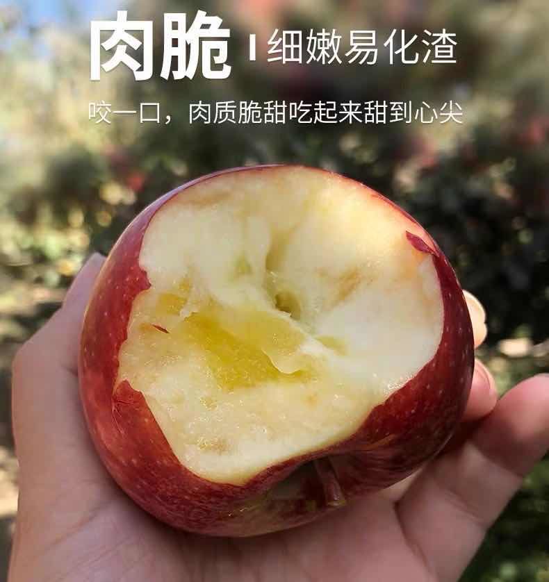 【顺丰包邮】正宗新疆阿克苏冰糖心苹果水果新鲜红富士大10/5斤