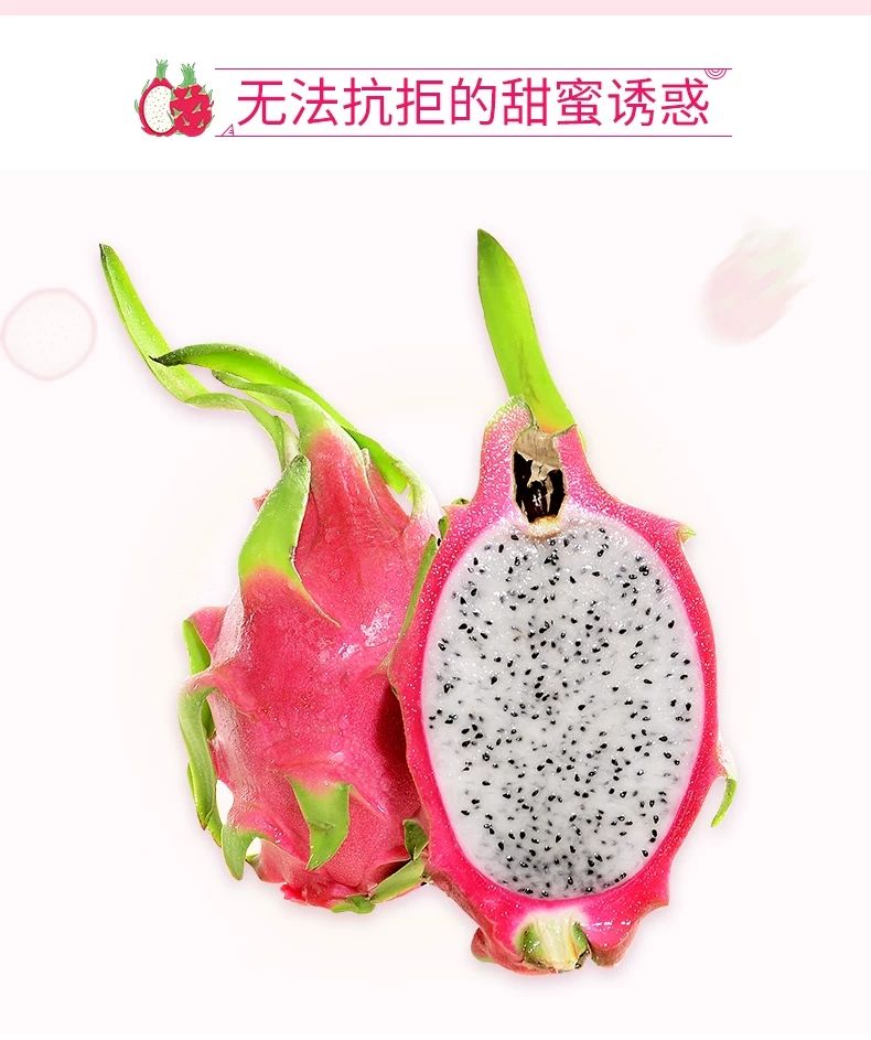 进口火龙果白心10斤带箱当季水果新鲜(单果300-600g)应季水果