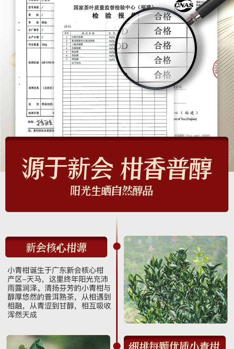 正宗新会小青柑普洱茶小青柑茶叶陈皮普洱茶熟茶叶年货礼盒装500g