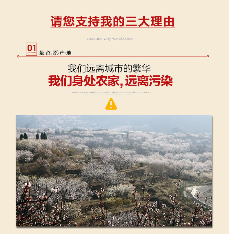 山东烟台大樱桃新鲜国产车厘子酸甜多汁冷运包邮【6月5日前发出】