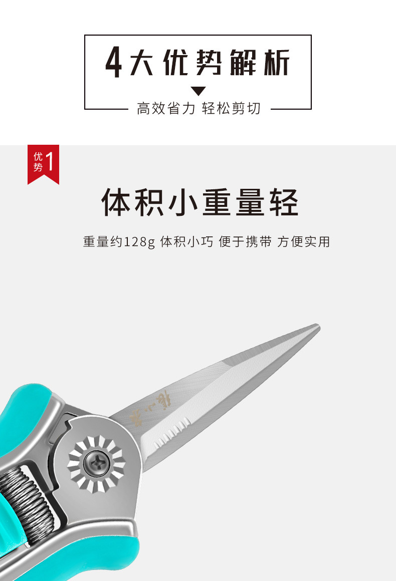 张小泉春悦稀果剪葡萄剪不锈钢尖头水果采摘剪盆景花枝修理剪果园疏果剪