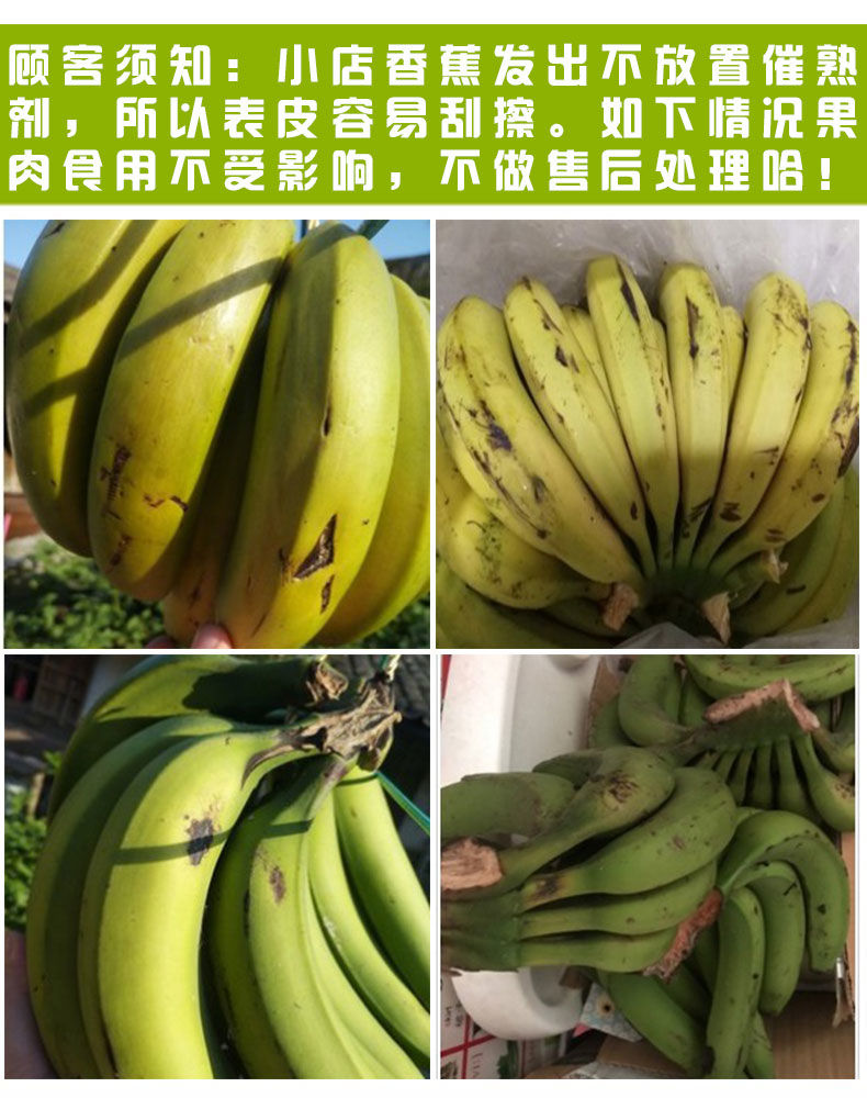 【3斤】广西自然熟香蕉水果新鲜非苹果香焦小米粉芭蕉批发3斤