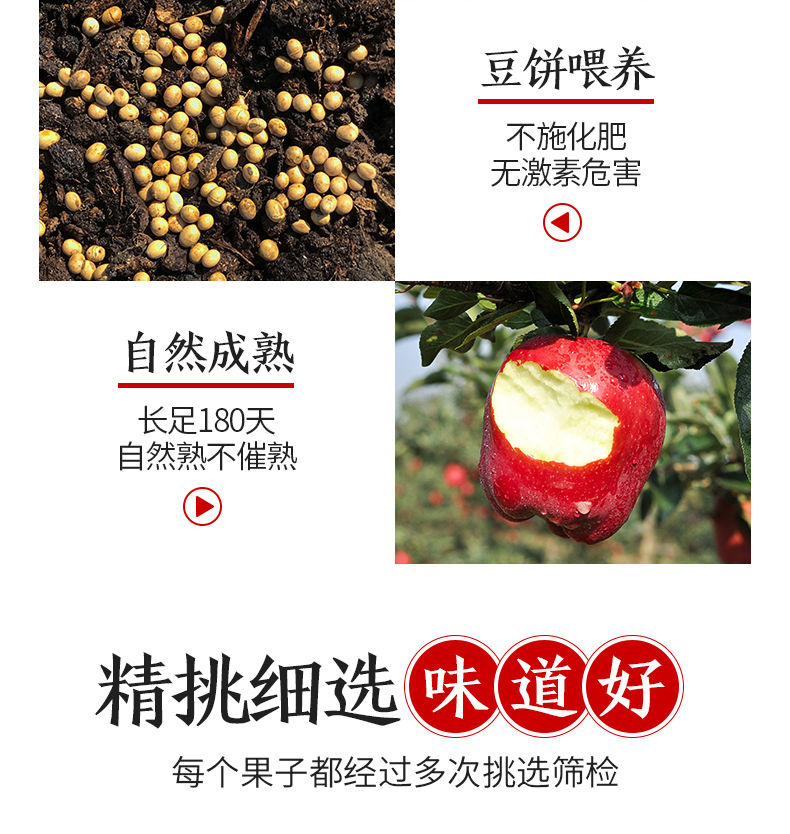 甘肃天水花牛苹果蛇果5/10斤孕妇新鲜水果新季粉面可刮泥苹果