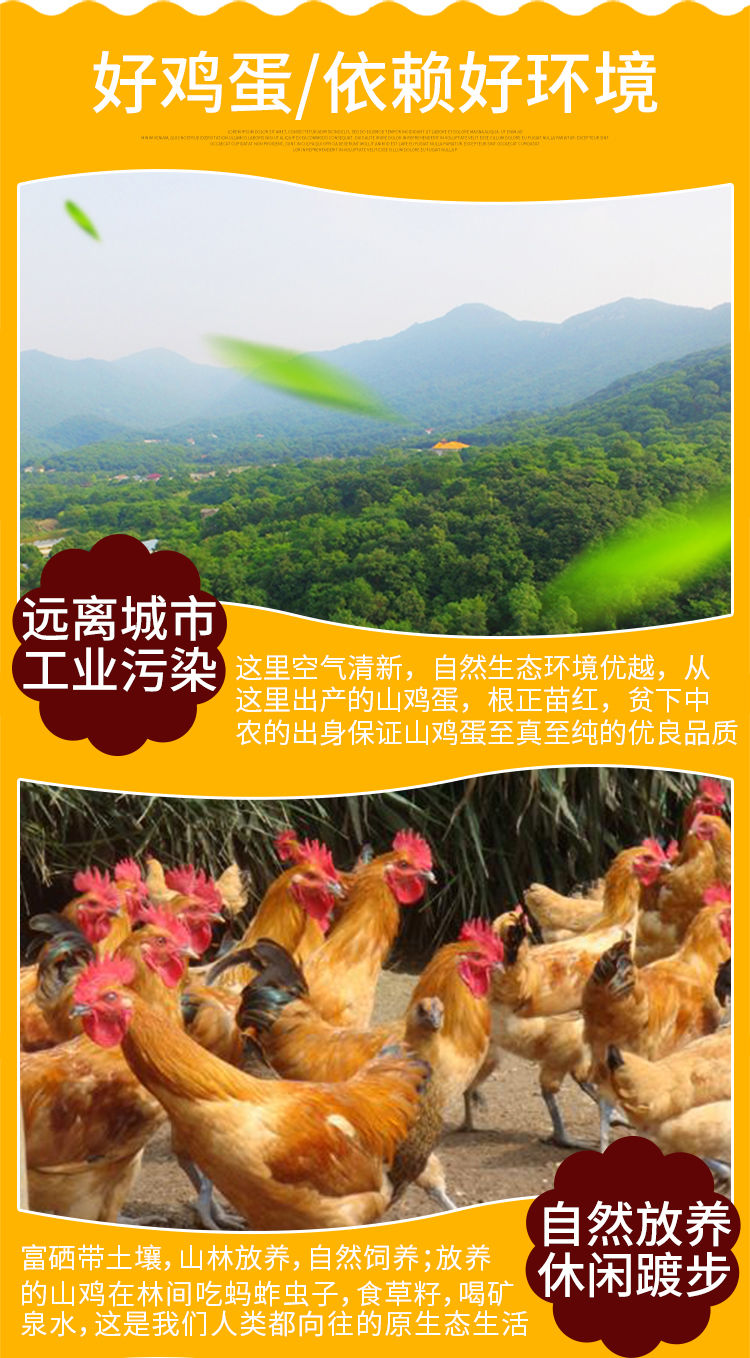 30枚土鸡蛋批发 整箱土鸡蛋 散养 农村土鸡蛋 农家 正宗草鸡蛋笨鸡蛋