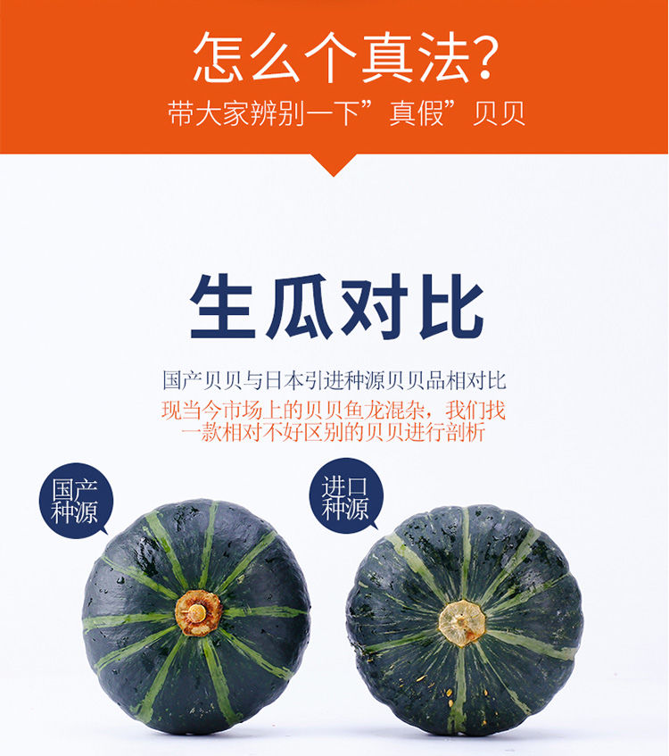 【邮乐助农】当季新鲜板栗南瓜味甜新鲜蔬菜源老南瓜宝宝辅食非贝贝南瓜3/5/10斤