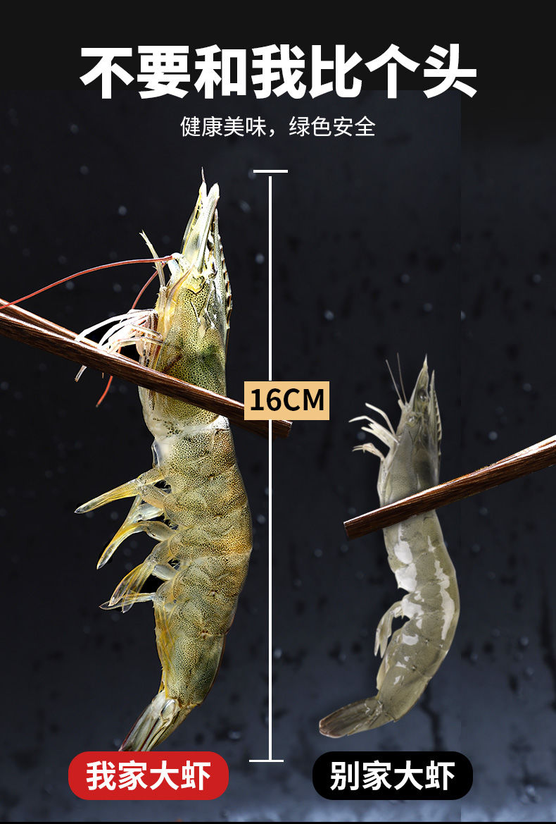 净重4斤整箱虾鲜活海鲜水产超大虾基围虾活虾鲜虾白虾海虾大虾鲜活速冻虾