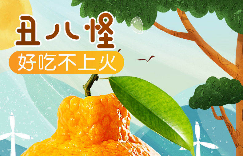 【10斤实惠价】四川丑橘不知火10斤现摘现发新鲜丑八怪柑桔子水果5斤批发整箱