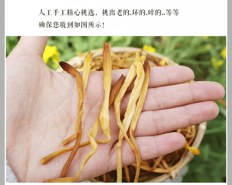 新货上市500g无硫无公害农家自制干黄花菜金针菜全干无需晒全干菜