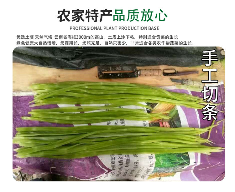 新鲜无叶贡菜干新品贡菜干货脱水蔬菜干火锅食材农家自制云南特产