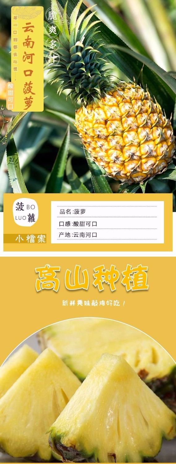 香水菠萝5/10/2斤新鲜水果大菠萝包邮非凤梨