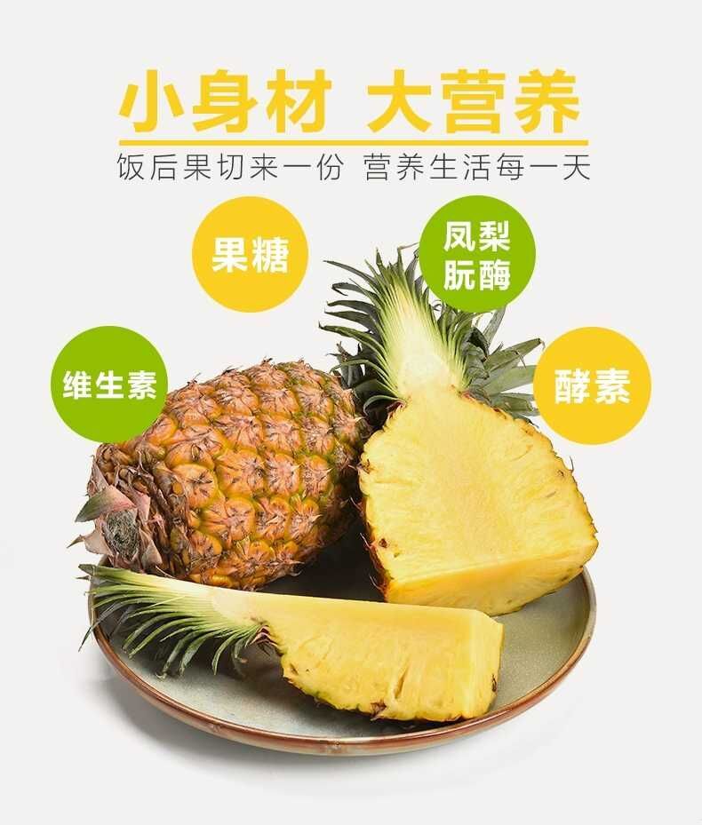 【新鲜抢购】新鲜牛奶凤梨手撕水果凤梨孕妇水果现摘现发3/5/9斤