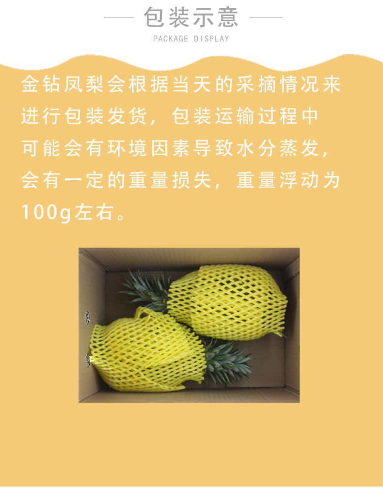 【金钻凤梨】正宗凤梨自然熟现摘超甜新鲜水果手撕凤梨非菠萝