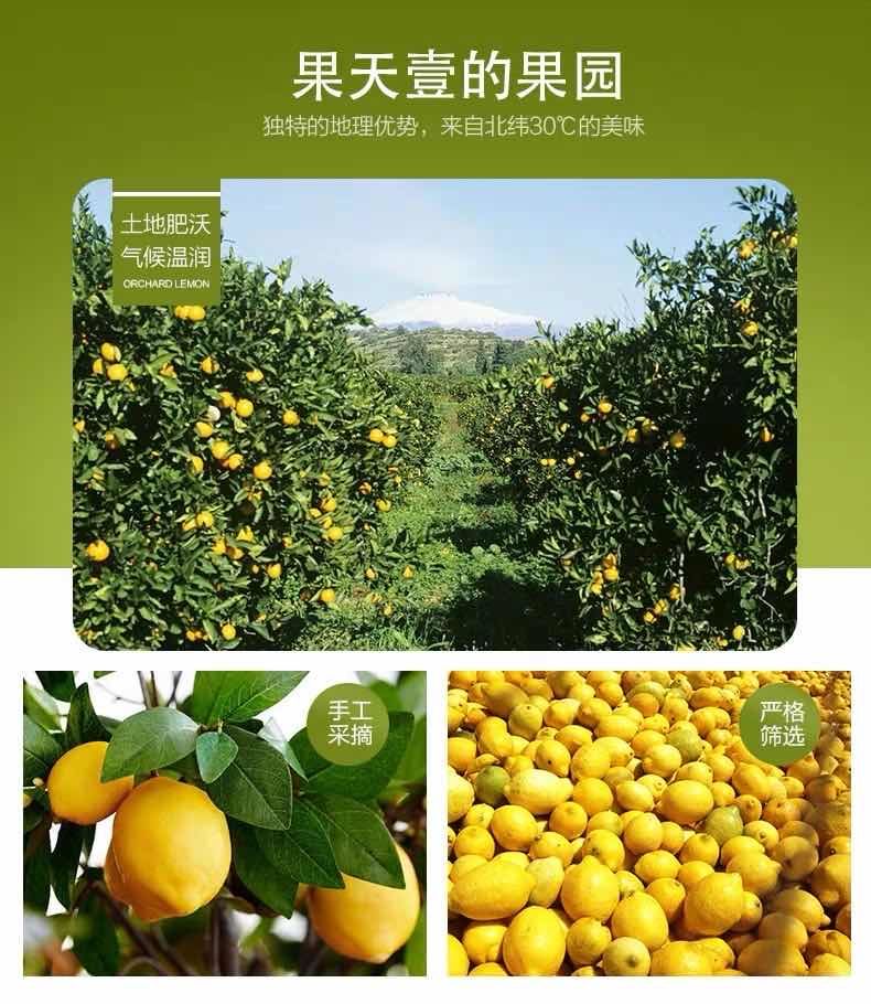 现摘新鲜安岳柠檬黄柠檬榨汁水果青柠新鲜应季水果2/5斤包邮
