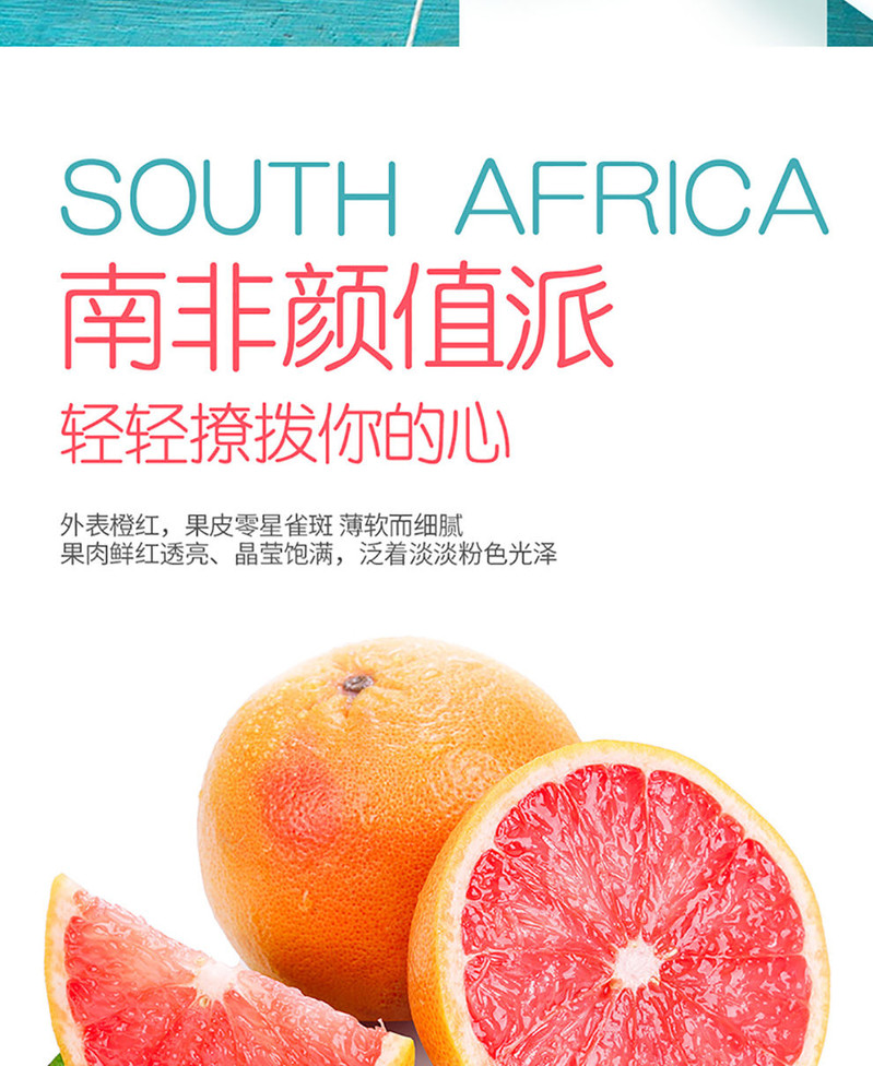 南非红心西柚4/6/8个装葡萄柚新鲜柚子水果